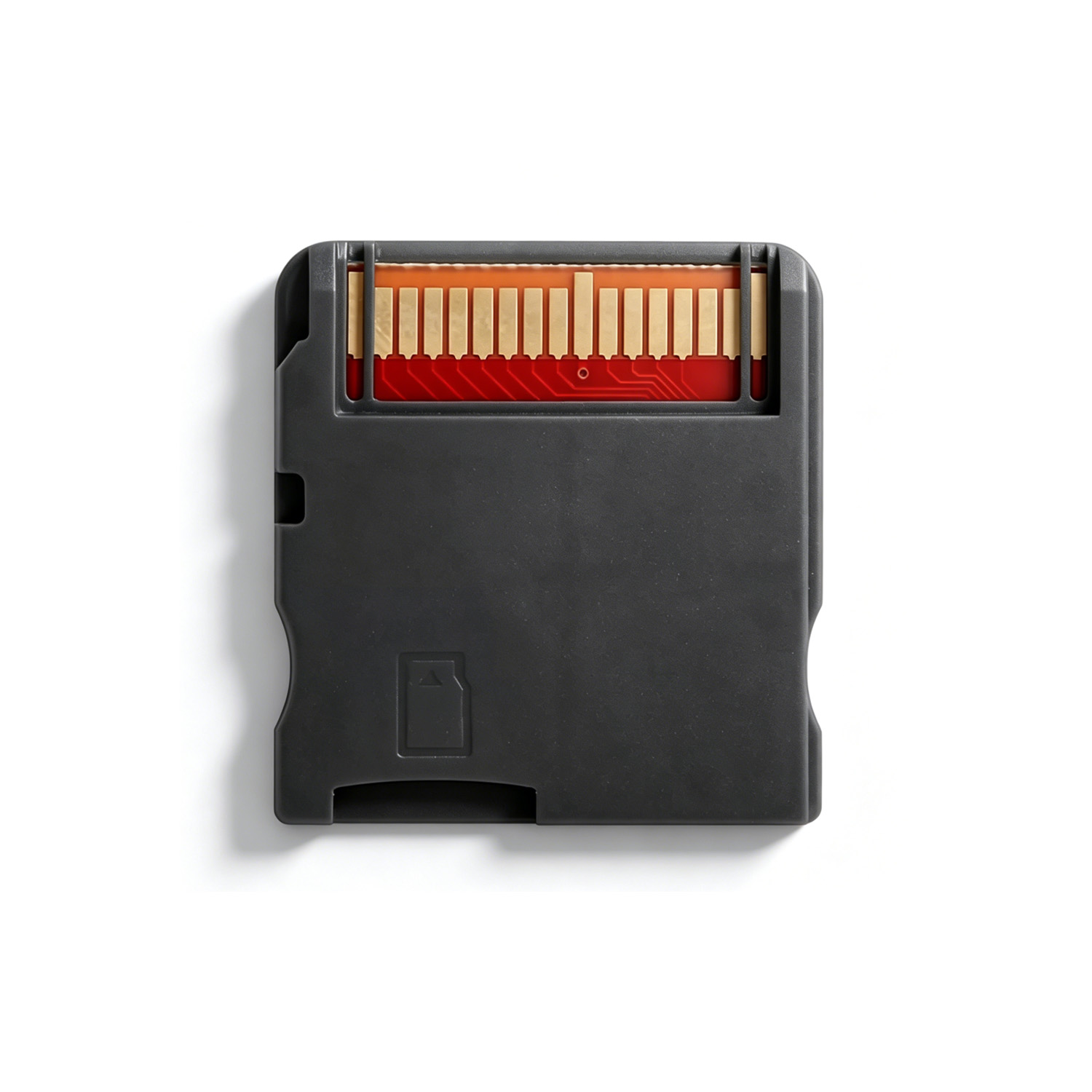 Scheda Flash DsHomeBrew 7800 i - Retro Gaming Expo recensione e prezzo